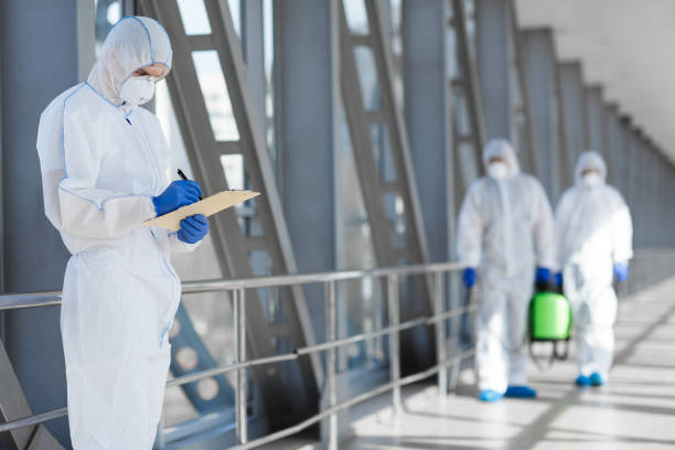 Mold Removal for HVAC Installations in Crafton, PA