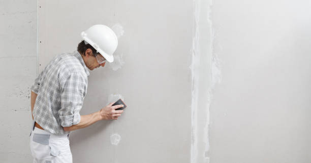 Mold Odor Removal Services in Crafton, PA